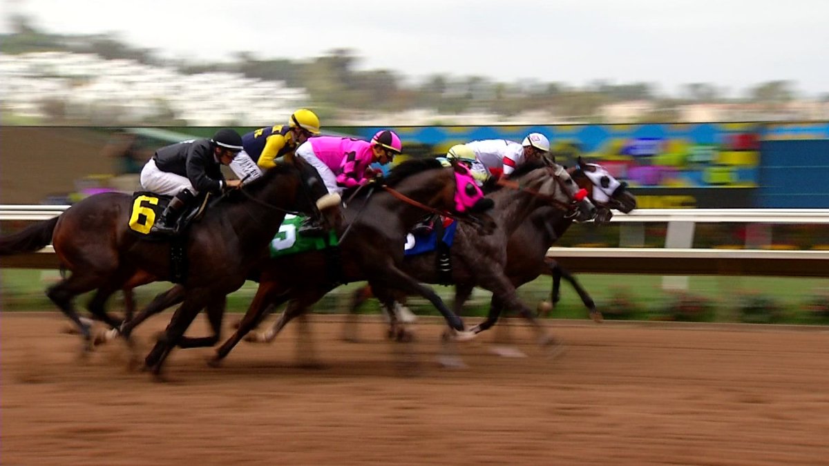2 horses dead in 2 days at Del Mar Racetrack – NBC Bay Area - Vimarsana News