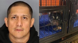 Pedro Maldonado Victorio is being investigated by Manteca Animal Services for performing animal surgeries without a license.