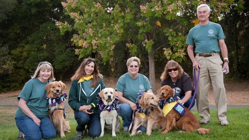 dogfest_006_1