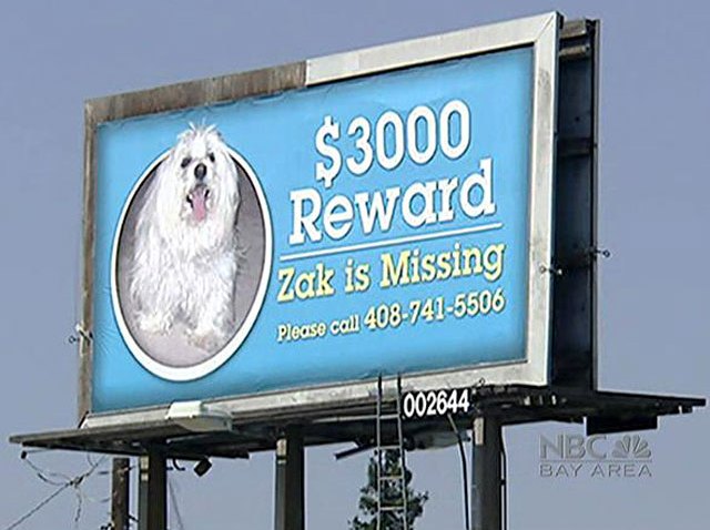 dogrewardbillboard