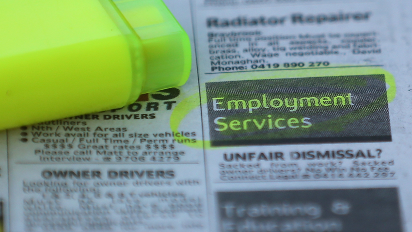 employment