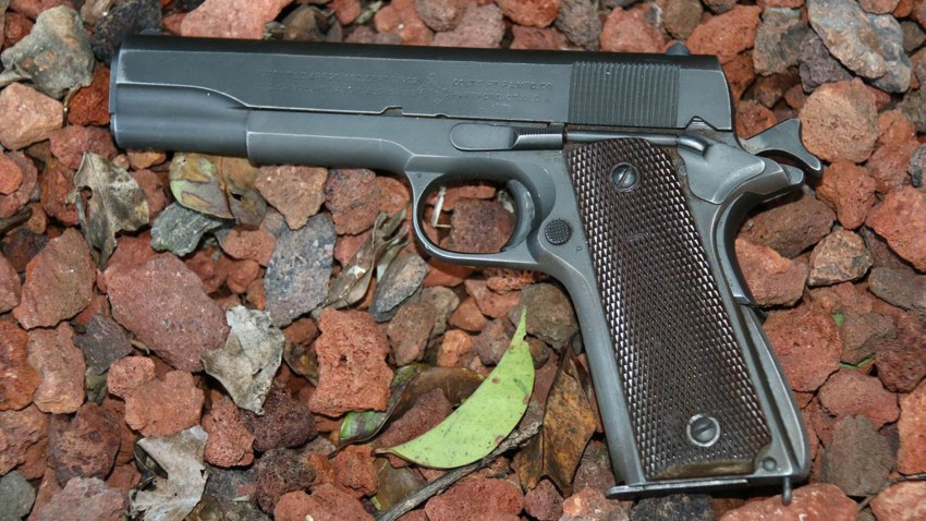 fairfield gun