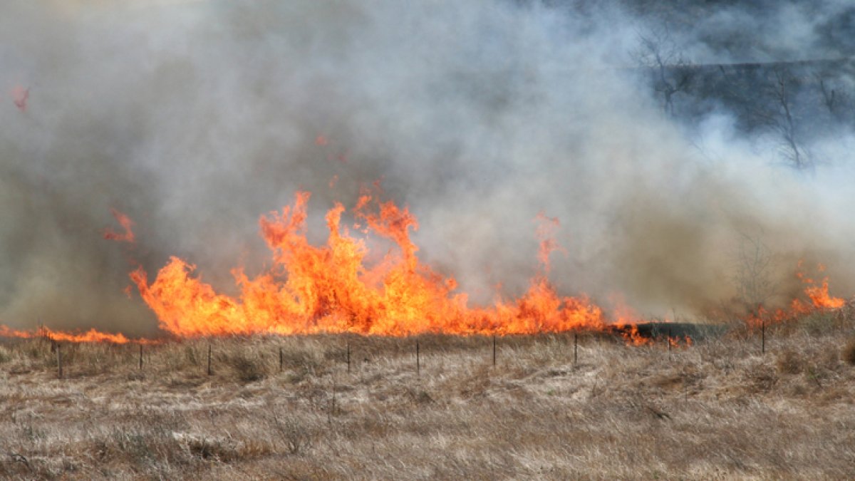 Fire Season Seeing Major Drop in Acres Burned – NBC Bay Area