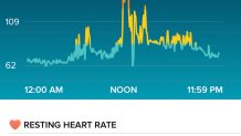 fitbit heartrate example