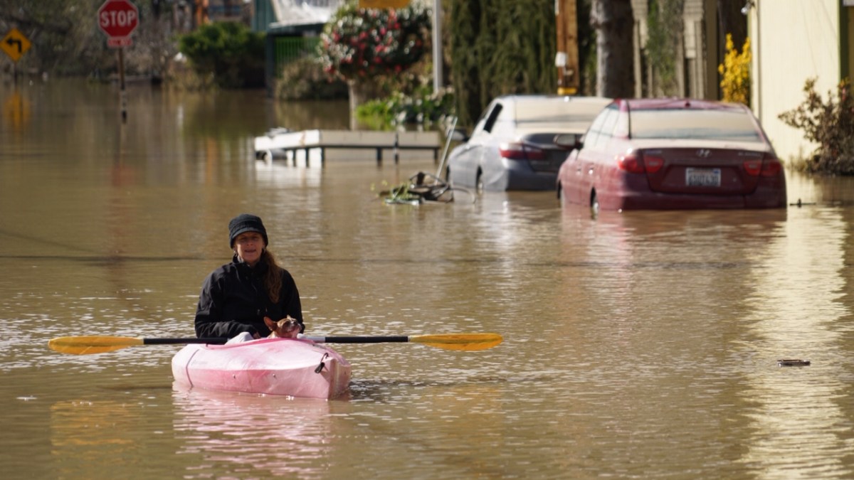 Russian River Recedes After Flooding 2,000 Buildings in Guerneville and Monte Rio – NBC Bay Area