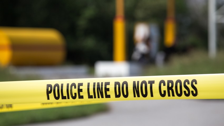 Man Finds Human Remains While Burying Pet In Backyard Nbc Bay Area