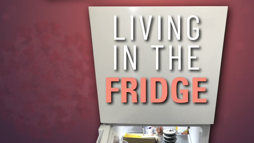 Living in the Fridge