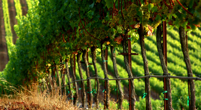 gallowinery