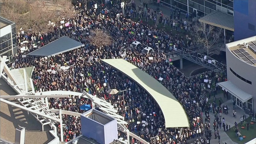 google-protest