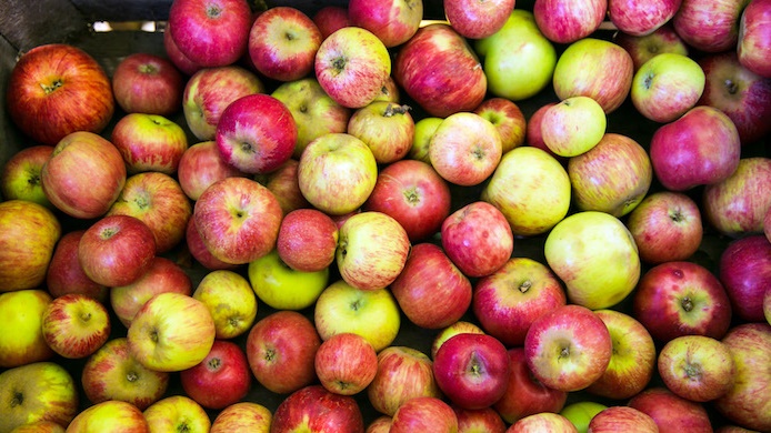 gravensteinapplefair98232032