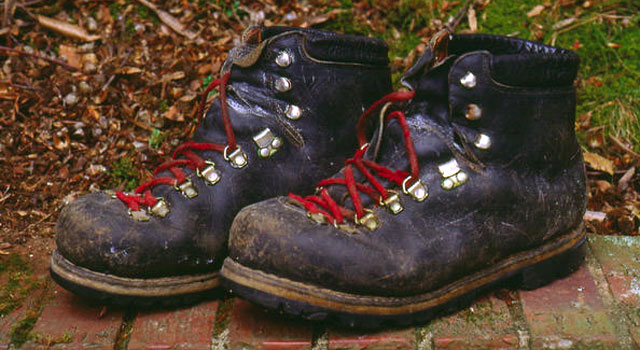 WRC_0000000006154426_1200x675_228779075545.jpg