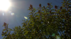 Warming trend sparks heat advisory, Spare the Air alert in Bay Area