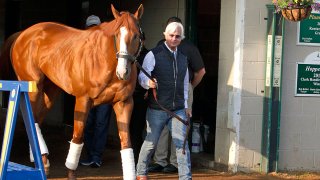 In this May 6, 2018, file photo, Justify, led by trainer Bob Baffert, emerges from Barn 33 to meet the public the morning after winning the 144th Kentucky Derby at Churchill Downs in Louisville, Ky.