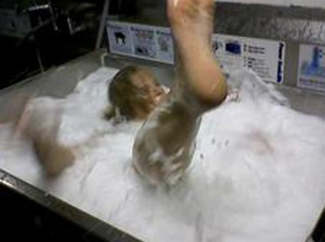 WCAU_000000010538840_1200x675_452111939999.jpg