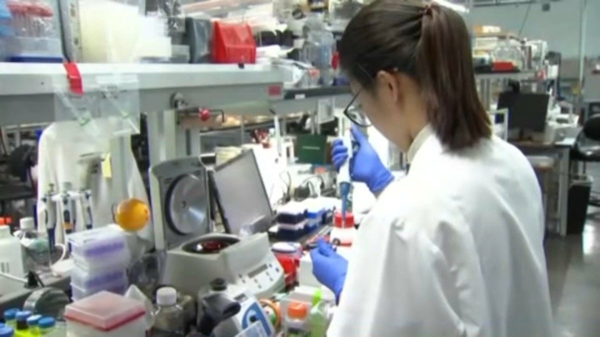 Bay Area Tech Companies Look for Coronavirus Treatment - Vimarsana News