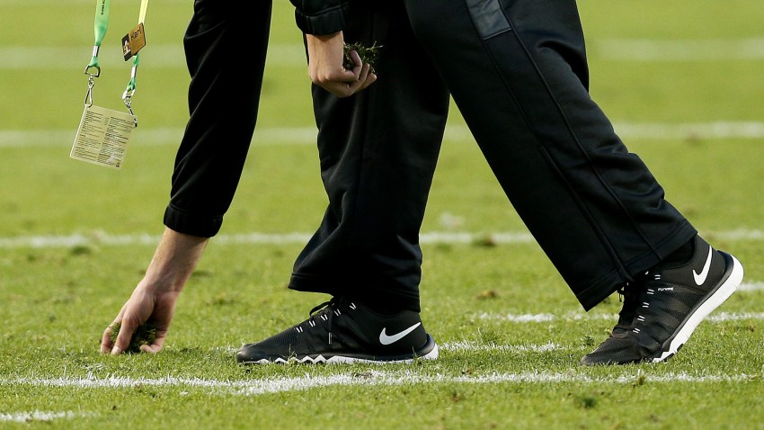 levi-stadium-turf-new