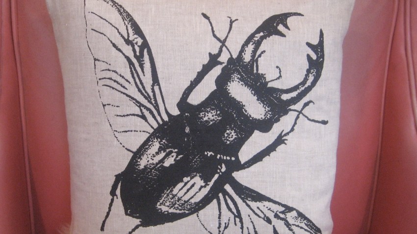 linen stag beetle pilow