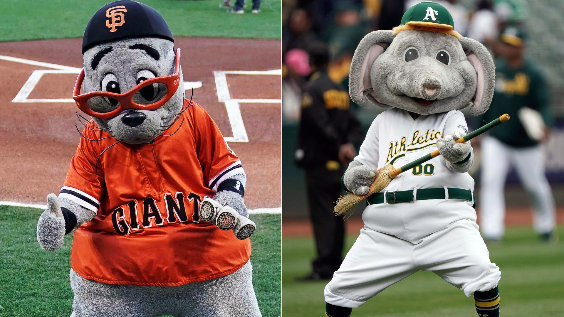 Giants Mascot Lou Seal, A's Mascot Stomper Have Heated Twitter