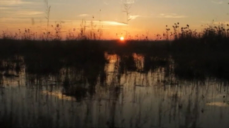 Iraqi Engineer Wins Award In California For Garden Of Eden Nbc