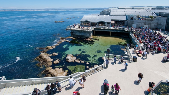 montereyworldoceans