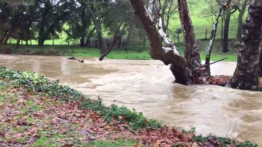 morgan hill creek