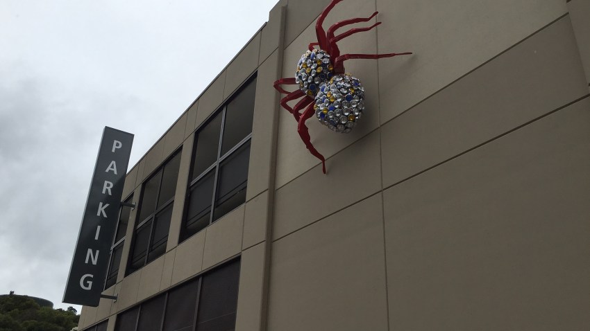 Giant Tarantula Hanging From Morgan Hill Parking Garage Cost