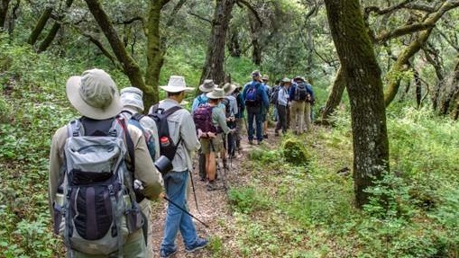 mtdiablofreepublichikes2018
