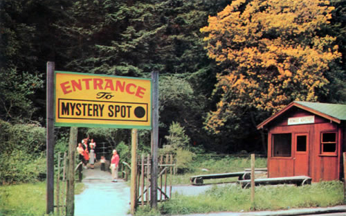 Road Trip Wildlife Mystery And Hidden Treasures Along