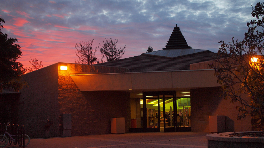 newark library