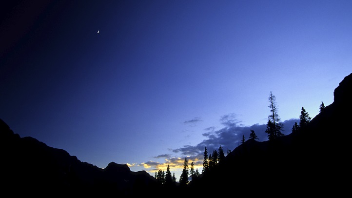 nightskysequoia