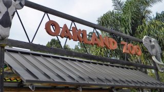 Zoolólgico de Oakland