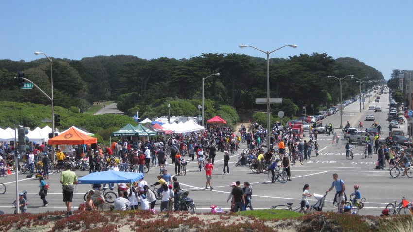 Dogarielpic_1200x675_350586947958.jpg