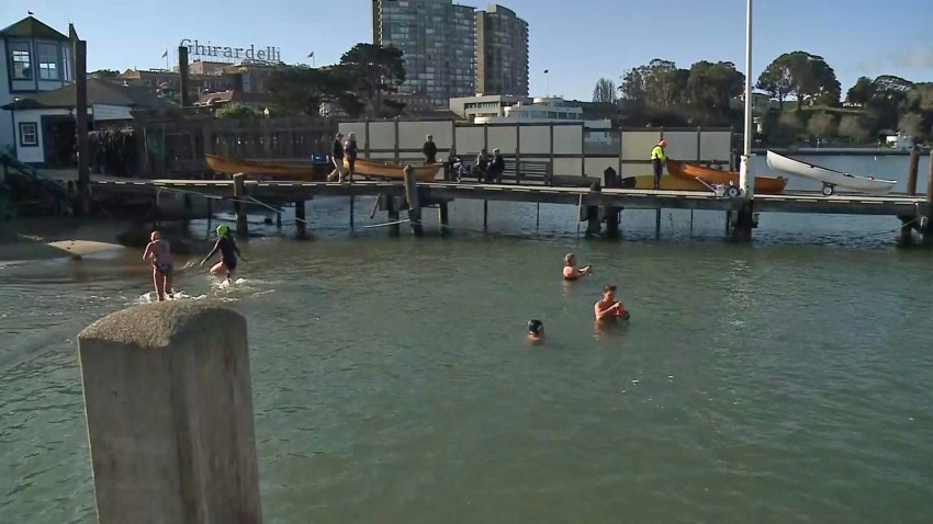 polar swim