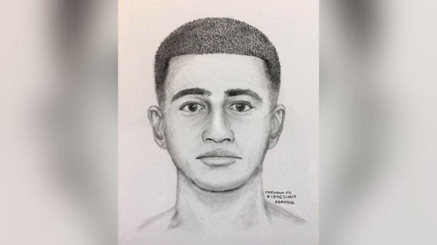police sketch1