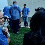 prisonpup1