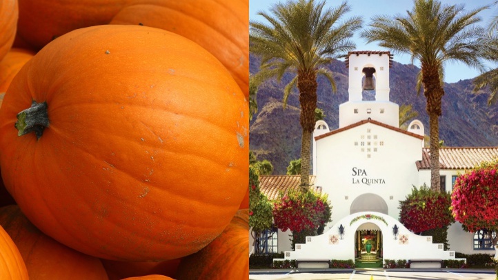 pumpkinquinta1