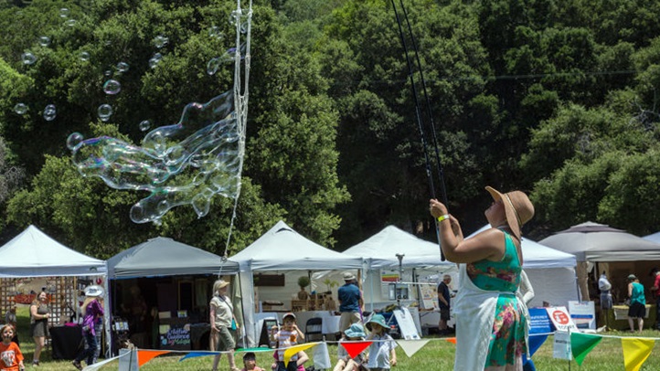 redwoodmountainfaire12345678