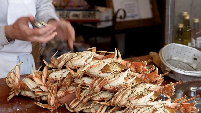 san fran dungeness crab