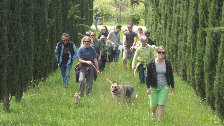 saracinaearthdoghike12345