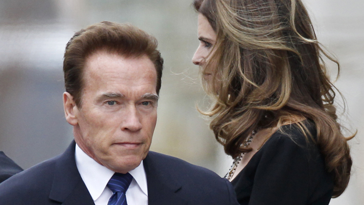 Schwarzenegger Book