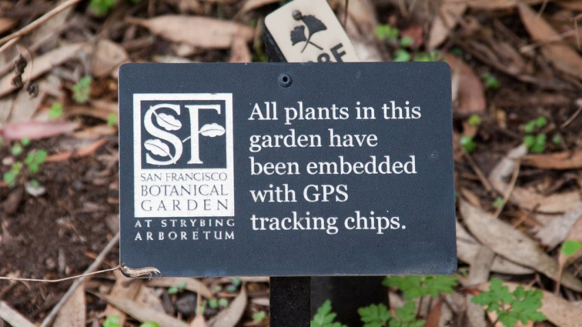 sfbotanicalgardens