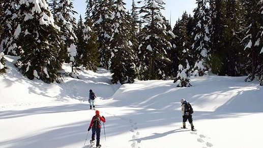 sierrasnowshoetenaya