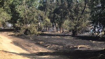 sjfire8.3.2019 (1)