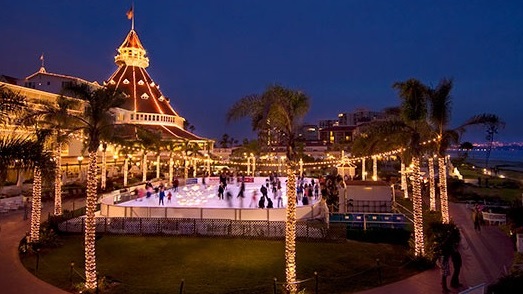 skatingbytheseahoteldel1234567