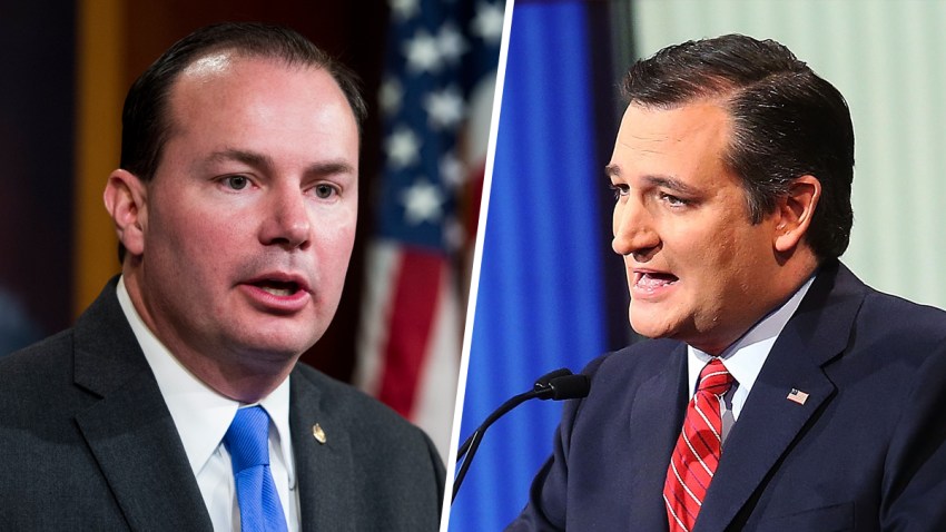split2-cruz-lee