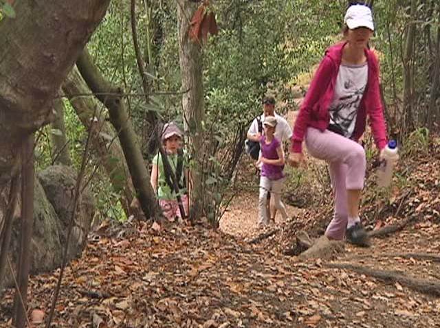 state_park_hiking_trail