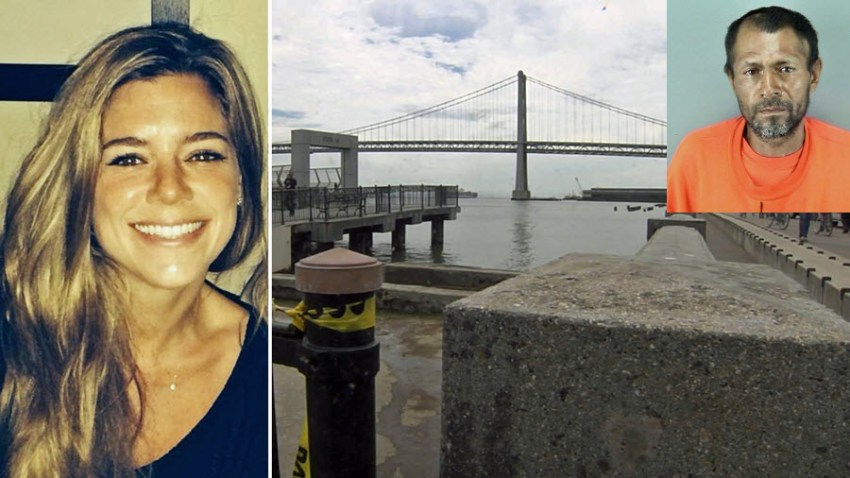 steinle trial-0906