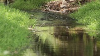 stream-generic-creek-San-Diego-County-water