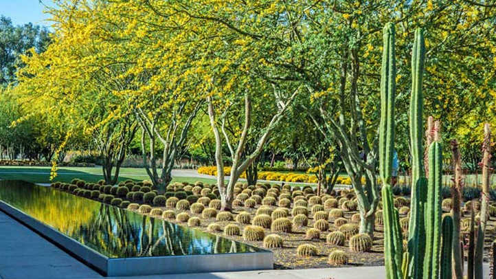 sunnylandsRancho Mirage_75128.JPG (1)