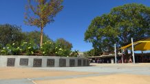 sunnyvale high school plaques 6